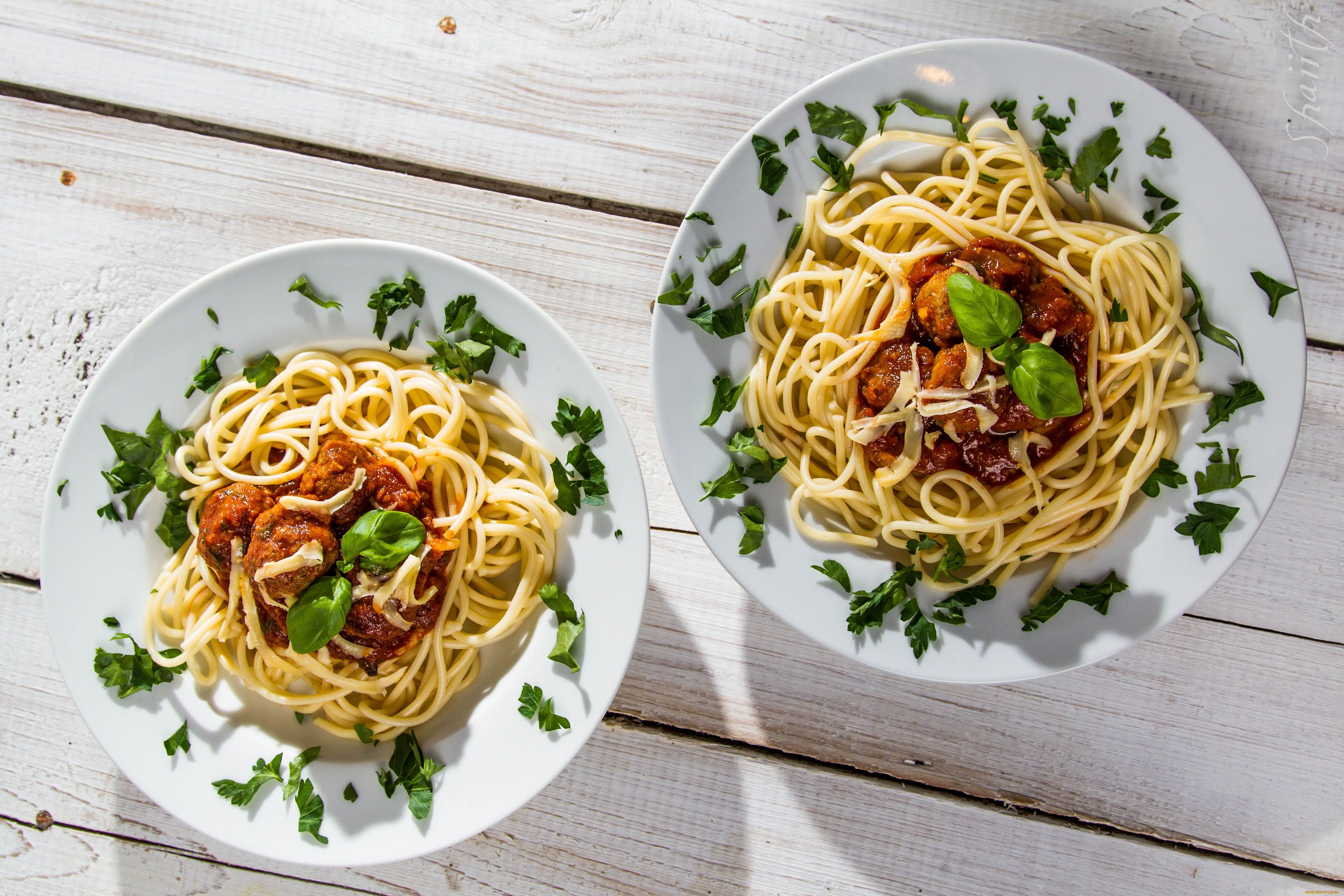 Картинка спагетти. Роллтон карбонара и болоньезе. Карбонара лапша рамен. Тарелка спагетти. Спагетти с говядиной.